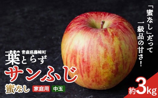 ≪先行予約≫ 【訳あり】 葉とらずサンふじ 蜜なし 中玉 約3kg（7～10玉） 【アップルアーク】 青森りんご 林檎 リンゴ ご家庭用 葉取らずりんご 発祥の地 果物 くだもの フルーツ おすすめ 青森県産 藤崎町 F41-0159