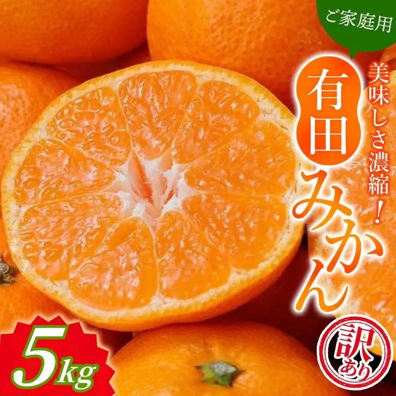 【訳あり】有田みかん 約5kg サイズ混合 みかん【nuk161E】 