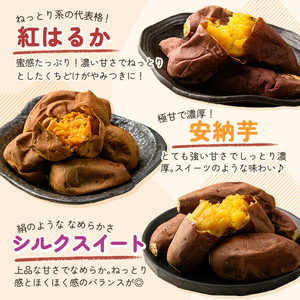 a956-A 冷凍焼き芋スイーツセット 計1kg (Aセット：冷凍焼き芋（紅はるか・安納芋）各500g×2袋)【ファーム工房】 姶良市 鹿児島県産 冷凍 焼き芋 やきいも べにはるか 安納芋