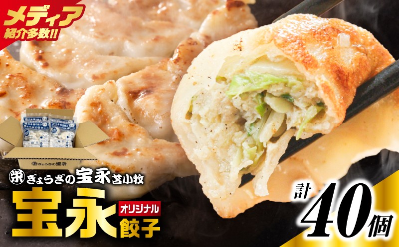 
            【ぎょうざの宝永】宝永餃子250g入（10個入）×4袋 合計1kg　T004-003
          