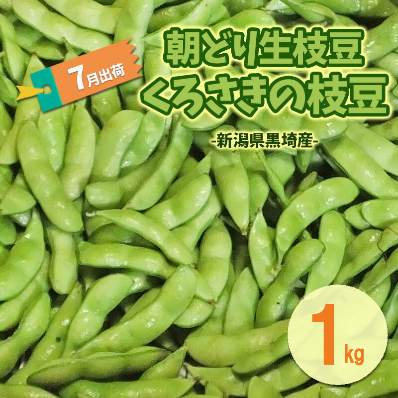 【ふるさと納税】7月出荷 朝どり生枝豆 くろさきの枝豆1kg 新潟県黒埼産 新潟市 枝豆 えだまめ えだ豆　お届け：2026年6月下旬～7月下旬
