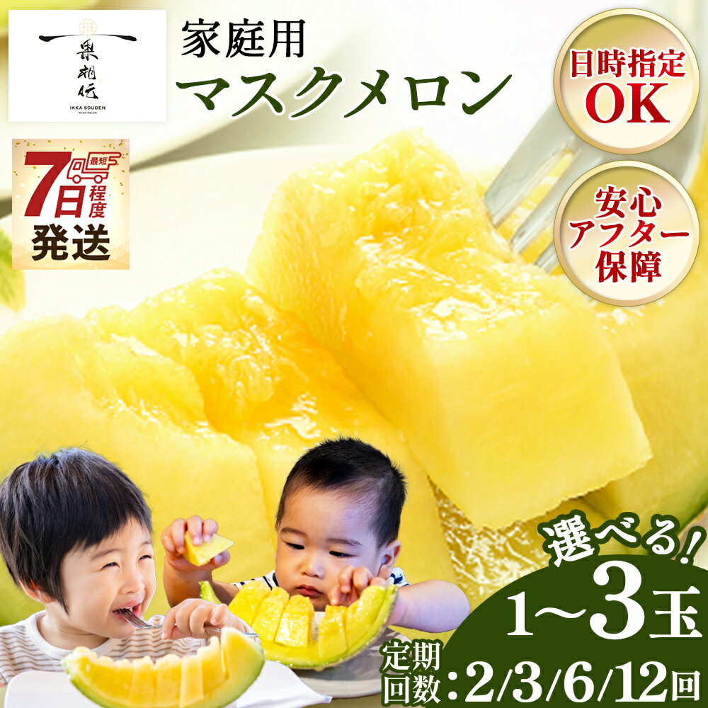 【ふるさと納税】【選べる】一果相伝 マスクメロン 家庭用 1玉/2玉/3玉 配送回数:2/3/6/12回 - 旬 完熟 お中元 夏ギフト 選べる 定期便 最短配送 果物 フルーツ ギフト 糖度 美味しい 甘い ケーキ あまい 2個 産地直送 4月 5月 父の日 母の日 高知県 香南市【常温】