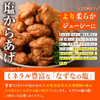 ふるさと納税 佐伯市 時短おかず 揚げるだけ やわらか!ジューシー!塩からあげ (計2kg・500g×4P) |  | 02