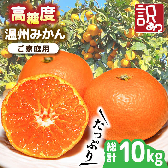 【ふるさと納税】【2026年11月下旬〜発送】【高糖度】 温州みかん 約10kg（傷もの） / みかん 訳あり ミカン 蜜柑 長崎県産みかん 糖度 果物 くだもの フルーツ ふるーつ 旬 家庭用 10kg 果物 フルーツ 柑橘 蜜柑 ミカン くだもの mikan / 南島原市 / 南島原果物屋 [SCV015]