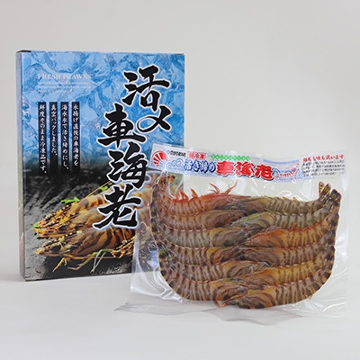 
                  活き〆冷凍車海老300g(10尾～16尾)【1784581】
                