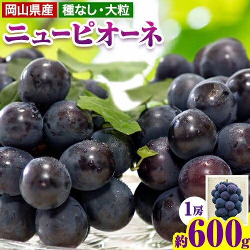 ぶどう ニューピオーネ 約 600g 1房 株式会社藍《9月上旬-10月下旬頃出荷》 岡山県 浅口市 岡山県産 ぶどう フルーツ 果物 くだもの ピオーネ 送料無料 【配送不可地域あり】（北海道・沖縄・離島）