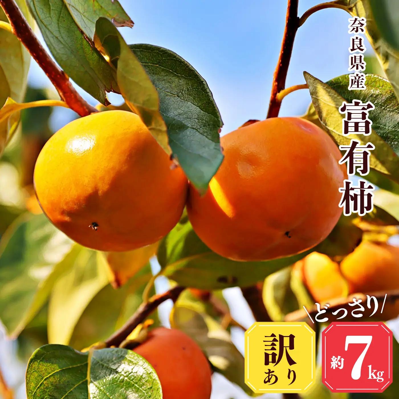 【 堀うち農園 】どっさり 約 7kg 訳あり 富有柿 | 人気 国産 産地直送 秋 旬 送料無料 大容量 特産品 家庭用 奈良県 五條市