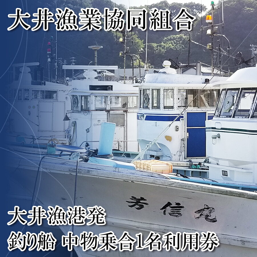 【ふるさと納税】 [ 大井漁協 ] 釣り船 中物 乗合 利用券 1人 乗船券 釣り 乗り合い 船 魚釣り フィッシング 体験 チケット レジャー 春 夏 秋 冬 魚 さかな 愛知県 南知多町 人気 おすすめ 南知多 愛知 東海 海 漁船 鮮魚 子供 アウトドア 夏休み 観光