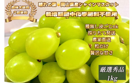 ぶどう 2026年  シャインマスカット 厳選 秀品 粒だけ 約1kg  家庭用  農林大臣賞2回受賞  岡山 果物 フルーツ  採りたて発送 農家直送 数量限定 新鮮  7月上旬から発送