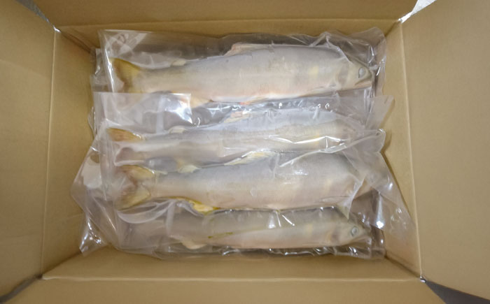 日田産天然鮎(冷凍)1kg　日田市 / 日田漁業協同組合 魚 あゆ アユ [ARFJ002]