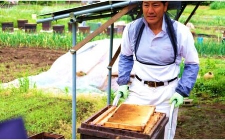はちみつ 国産 天然 純はちみつ 370g×3種 アソート 花こよみ セット お中元 贈答 ギフト 