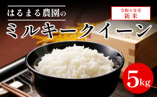 【令和6年産新米】京都丹波福知山産 はるまる農園のミルキークイーン 5kg ／ ふるさと納税 精米 米 こめ ご飯 ごはん 白米 ミルキークイーン 京都府 福知山市 FCCN014