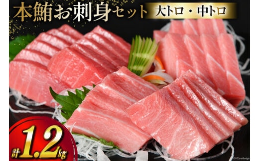 
										
										【高級旅館御用達】 本鮪 お刺身セット 大トロ 800g 中トロ 400g [豊洋海産流通 宮城県 気仙沼市 20563969] 魚 刺身 まぐろ マグロ 本マグロ 鮪 柵 本鮪 本まぐろ 本鮪柵 セット 詰め合わせ 魚介 海鮮 レビューキャンペーン
									