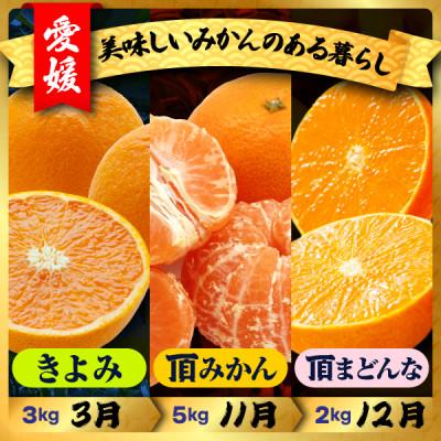 ふるさと納税 八幡浜市 【発送月固定定期便】美味しいみかん柑橘のある暮らし【みかん・まどんな・きよみ】【G31-42】全3回 |  | 01