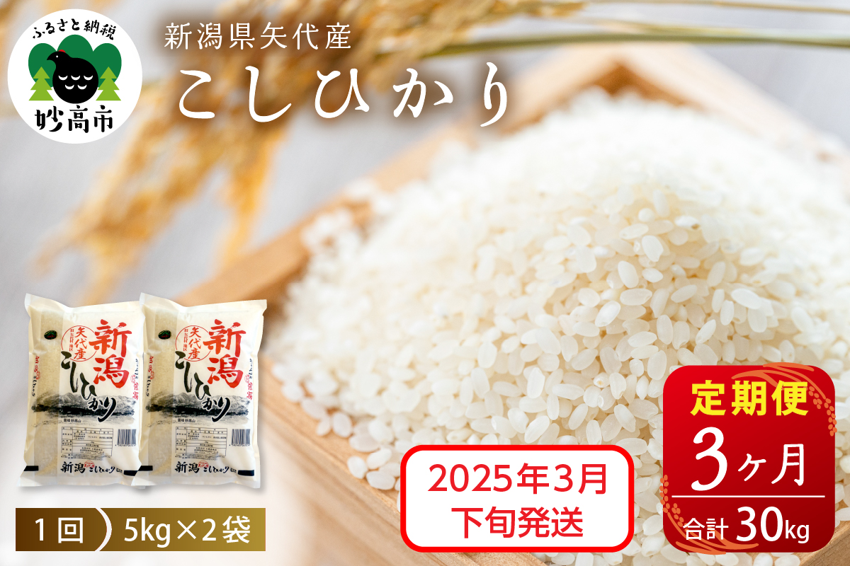 【2025年3月下旬発送】【定期便】令和6年産 新潟県矢代産コシヒカリ10kg(5kg×2袋)×3回（計30kg）