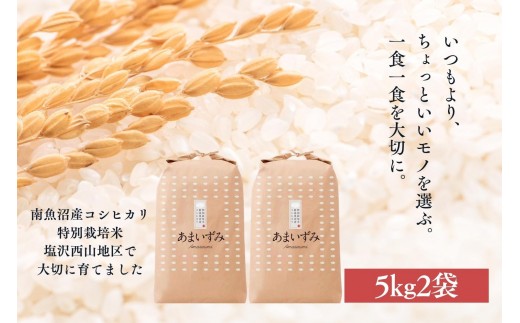 
                  【令和8年産　新米予約】【白米】令和8年度産 あまいずみ 南魚沼産コシヒカリ 5kg×2袋【銘柄米 ブランド米 精米 こしひかり コシヒカリ 魚沼産 新潟米 産地直送 お米 米】【2026年10月上旬より1ヶ月以内に順次発送予定】
                