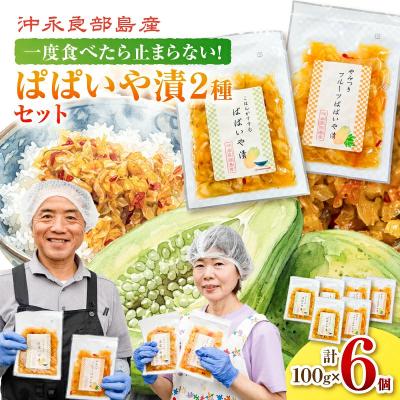 ふるさと納税 和泊町 2種6個セット!一度食べたら止まらない!沖永良部島産のぱぱいや漬