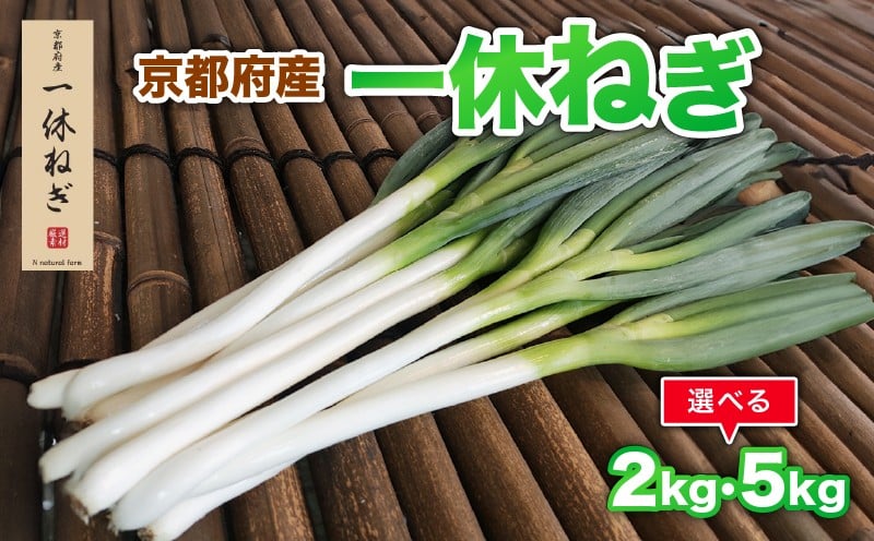 
            京都府産 一休ねぎ 選べる 2kg 5kg 白ねぎ 白ネギ 白葱 葱 ねぎ 野菜 やさい お取り寄せ 産地直送 鍋 新鮮 薬味 家庭用 業務用 国産 旬 井手町 京都
          