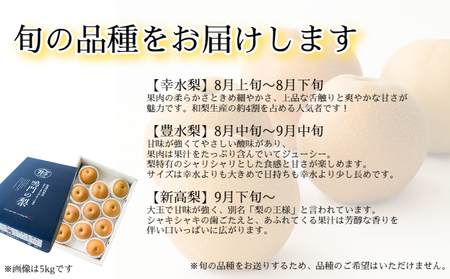 【 予約受付中・2026年8月中旬頃より順次発送 】うずしおペアー 4.5kg 国産梨 フルーツ 甘い 幸水 豊水 新高 梨 ナシ