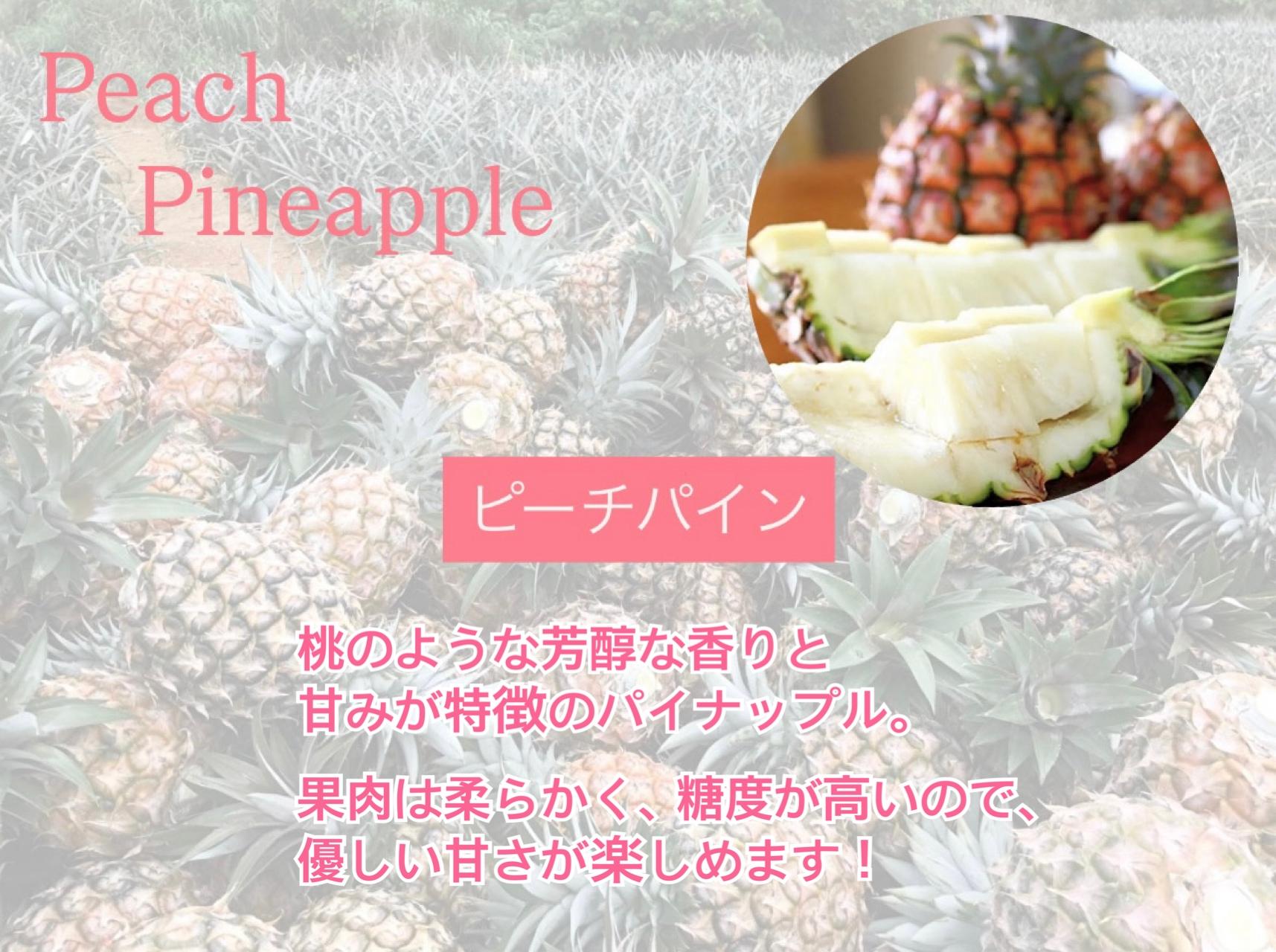＜先行予約＞ 農家直送！石垣島産 ピーチパイン 3個セット 約3kg ＜2026年3月下旬発送＞ | パイナップル パイン 沖縄県 石垣市 石垣島 南国 フルーツ 果物 季節限定 YE-001