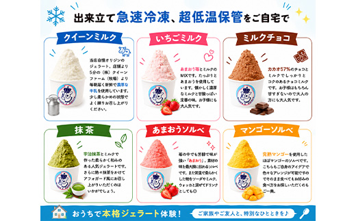 Queen’s Gelato レギュラーカップ6個（6種）アソート 100ml×6個 （6種 各1個） | クイーンファーム クイーンズジェラート ジェラート 贈物 贈答 プレゼント ミルク クイーン