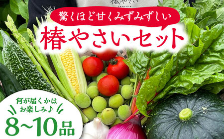 何が届くかはお楽しみ 椿やさいの野菜セット(8-10品)詰合せ 野菜 詰め合わせ やさい 朝採れ 旬の野菜 季節の野菜 産地直送 野菜 詰め合わせ やさい 朝採れ 旬の野菜 季節の野菜 産地直送 野菜 詰め合わせ やさい 朝採れ 旬の野菜 季節の野菜 産地直送 野菜 詰め合わせ やさい 朝採れ 旬の野菜 季節の野菜 産地直送 野菜 詰め合わせ やさい 朝採れ 旬の野菜 季節の野菜 産地直送 五島市/いきいきファーム [PCY001]