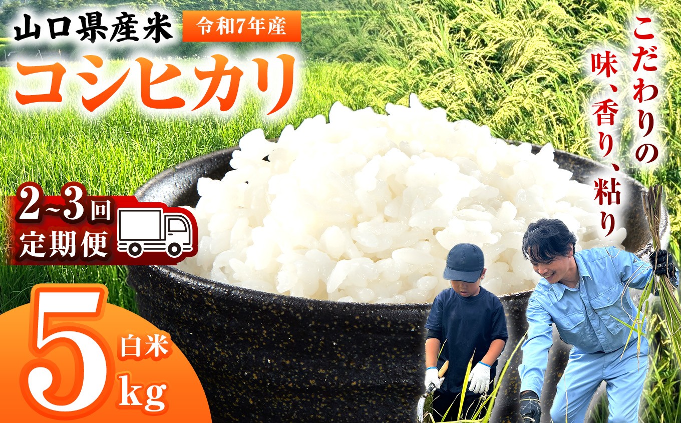 
                  【 定期便 】 令和7年産 山口県産米 コシヒカリ 5kg 選べる 配送回数 2回 3回 ｜ 令和7年産 こしひかり 山口県産米 こめ お米 コメ 白米 精米 ごはん ご飯 瀬戸内 山口県 平生町 5kg
                