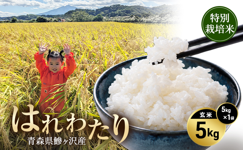 令和8年産 米 特別栽培米 はれわたり 5kg [玄米] 青森県産 新米 先行予約 5キロ (5kg×1) 特A 小分け 一人暮らし 鰺ヶ沢町 送料無料《H.GREENWORK》【10月中旬以降順次発送】