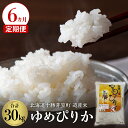 【ふるさと納税】【6か月定期便】北海道産米 ゆめぴりか 5kg令和5年産 米 お米 ごはん ご飯 白米 精米 つやつや やわらか ふっくら おにぎり 北海道産 北海道 十勝 芽室町