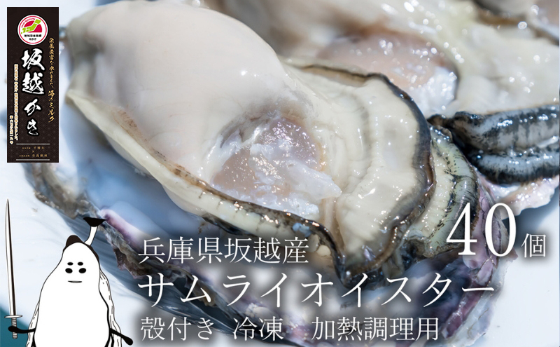 牡蠣 坂越かき 【冷凍】 殻付き 40個(加熱用)サムライオイスター 冬牡蠣 魚介類 カキ 加工食品 