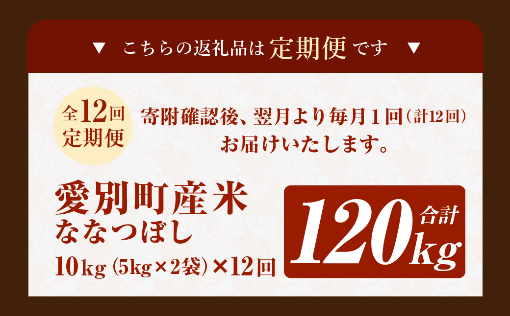 愛別町産米（ななつぼし5kg×2袋）12ヶ月定期配送【A14303】