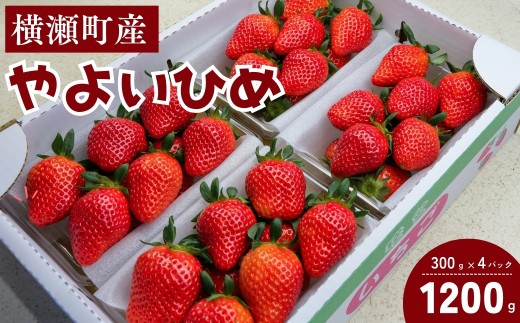 いちご「やよい姫」300g×4パック｜いちご イチゴ 苺 やよい姫 甘い あまい やよいひめ 新鮮 季節限定 期間限定 限定 糖度が高い 食味の良い 酸度控え目 甘み 甘さ 果実 食べやすい 高級いちご フルーツ ギフト 贈り物 贈答 フルーツギフト 旬の果物 果物 産地直送 小松沢レジャー農園 埼玉県 横瀬町