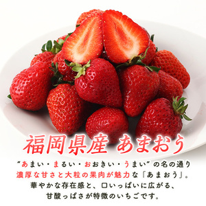 ＜先行予約受付中！2026年2月上旬より順次発送予定＞福岡県産 あまおう (計1kg・250g×4P) いちご イチゴ 苺 ストロベリー 果物 フルーツ おやつ デザート 1000g 4パック 冷蔵【