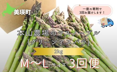 【2026年産先行予約】北海道 美瑛町幻のアスパラ 本山農場のラスノーブル（グリーンアスパラ）M～Lサイズ 2kg ≪3回便≫ | アスパラ アスパラ アスパラ アスパラ アスパラ アスパラ[060-36]