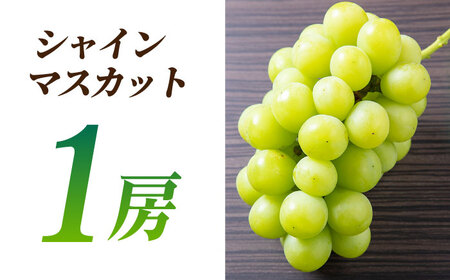 【2026年発送先行予約】ぶどうの宝石 3色 食べ比べセット 計1.2kg（3房）【合同会社 社方園】ぶどう詰め合わせ 熊本 九州産 国産 クイーンニーナ マスカット [ZBZ004]
