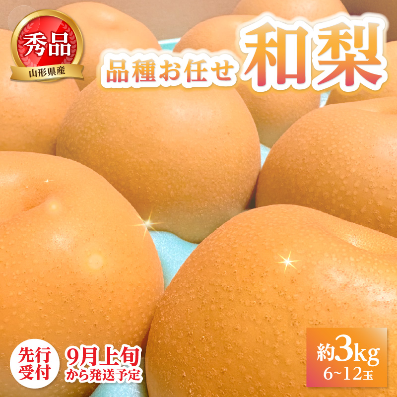 《先行受付》★山形産和梨（品種お任せ）★約3kg(6～12玉程度)秀品【2026年9月頃～順次発送予定】