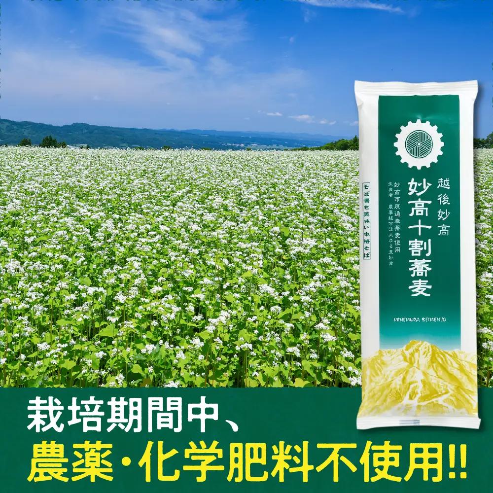 妙高 十割 蕎麦 そば 十割そば 乾麺 200g × 5袋 