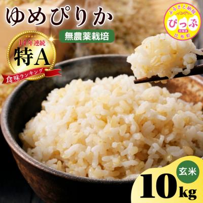 ふるさと納税 比布町 令和7年産 今野農園 ゆめぴりか 玄米10kg