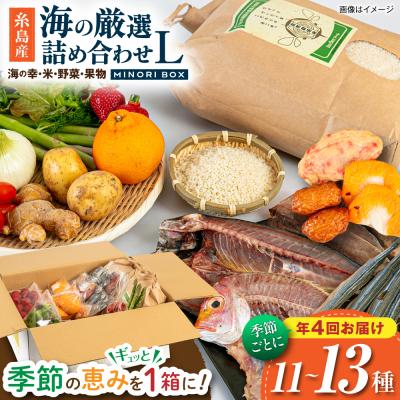 ふるさと納税 糸島市 【全4回定期便】糸島産 魚 米 野菜 果物 厳選合わせ Lサイズ　[AOP006]