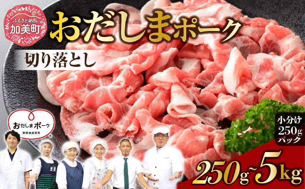 
            【宮城県産ブランド豚】 豚肉 おだしまポーク 切り落とし 250g 〜 5kg 肉 国産 冷凍 小分け 小間切れ 選べる 宮城県産 ブランド豚 豚肉 ポーク [関精肉畜産 宮城県 加美町] 
          
