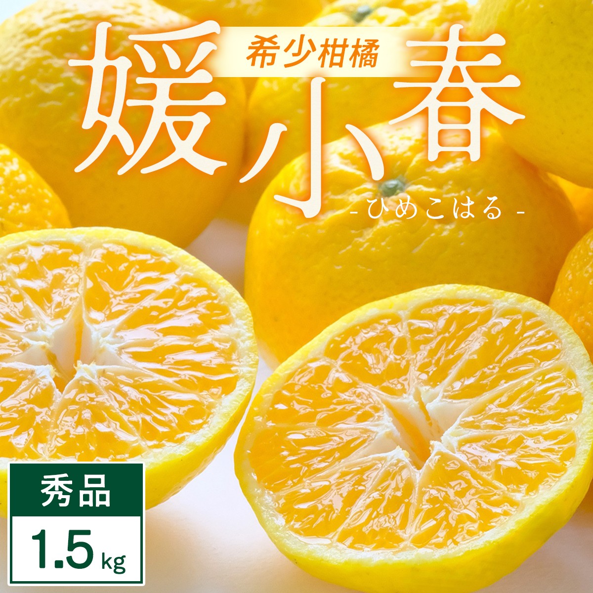 
                  【先行受付】媛小春 1.5kg 愛媛県 八幡浜市 西宇和地区 希少な幻の柑橘 黄色いみかん＜C25-357＞【1715605】 YWTAP298
                