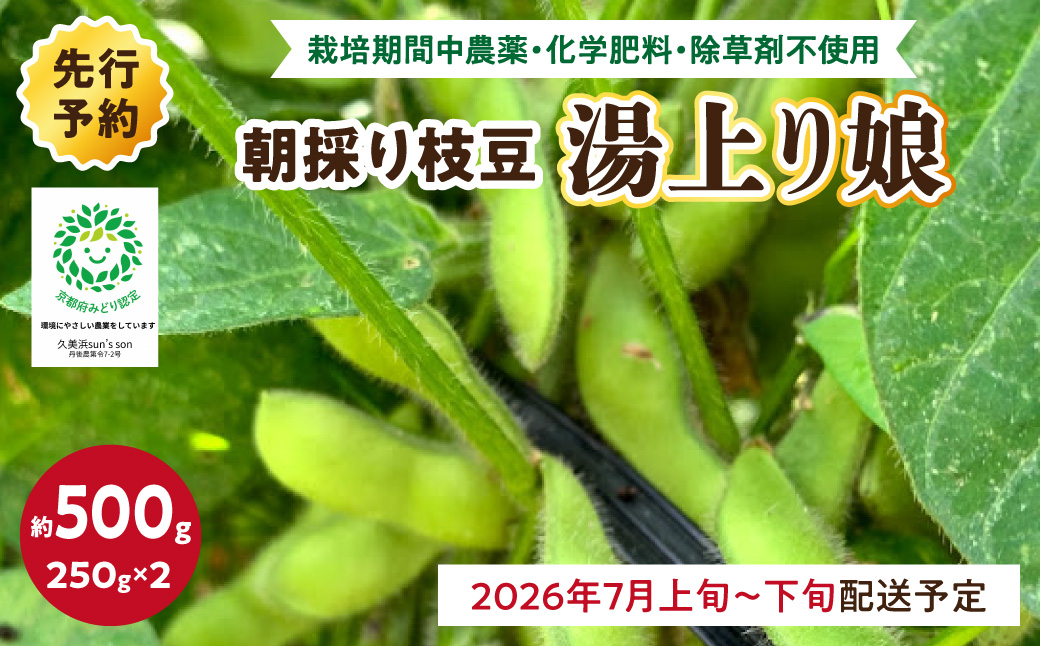 【先行予約／数量限定40】朝採り枝豆（湯上り娘）500g（250g×2パック）（栽培期間中農薬・化学肥料・除草剤不使用）（2026年7月上旬～発送） おつまみ 農家応援 京都産 えだまめ 朝採れ 農家直送　KU00075