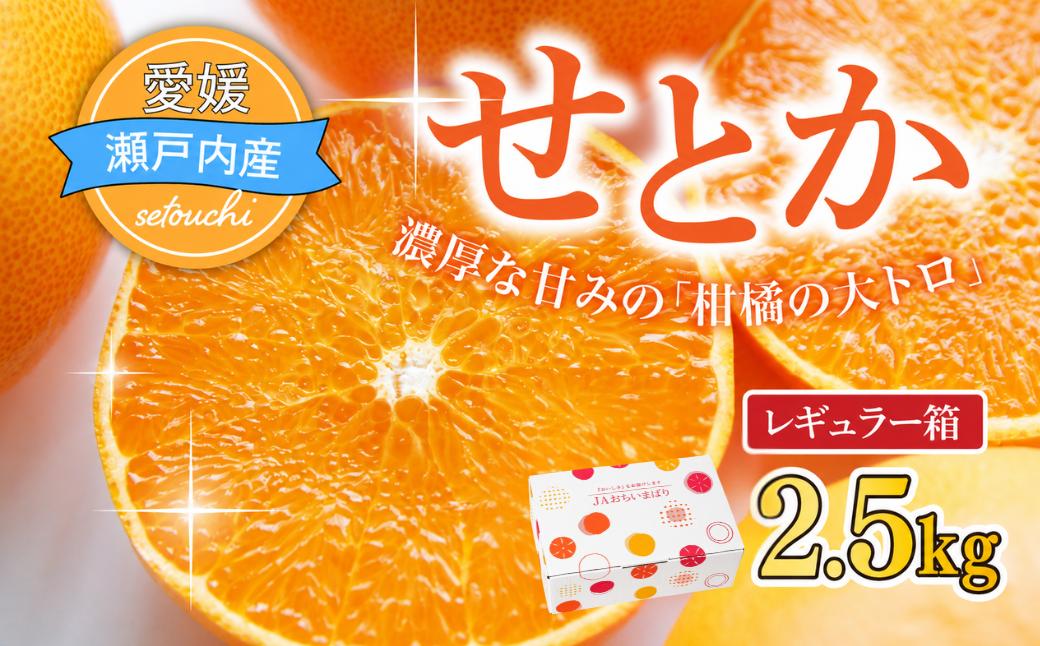 
                  ＜先行受付＞せとか レギュラー箱 2.5kg 柑橘 みかん ミカン 蜜柑 せとか 果物 フルーツ 国産 愛媛みかん 愛媛ミカン 国産フルーツ 愛媛県 上島町 JAおちいまばり
                