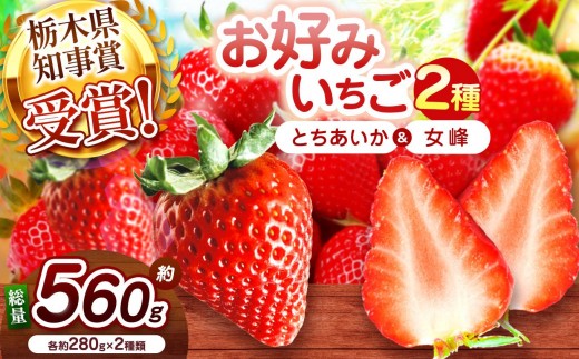 【2027年先行予約】新定番とちあいか＆伝統の女峰 食べ比べセット 560g
