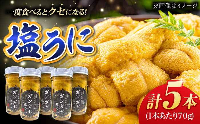 厄介うに ガンガゼ塩うに 70g×5本 / ウニ 雲丹 五島市 / うた丸 [PGA002]