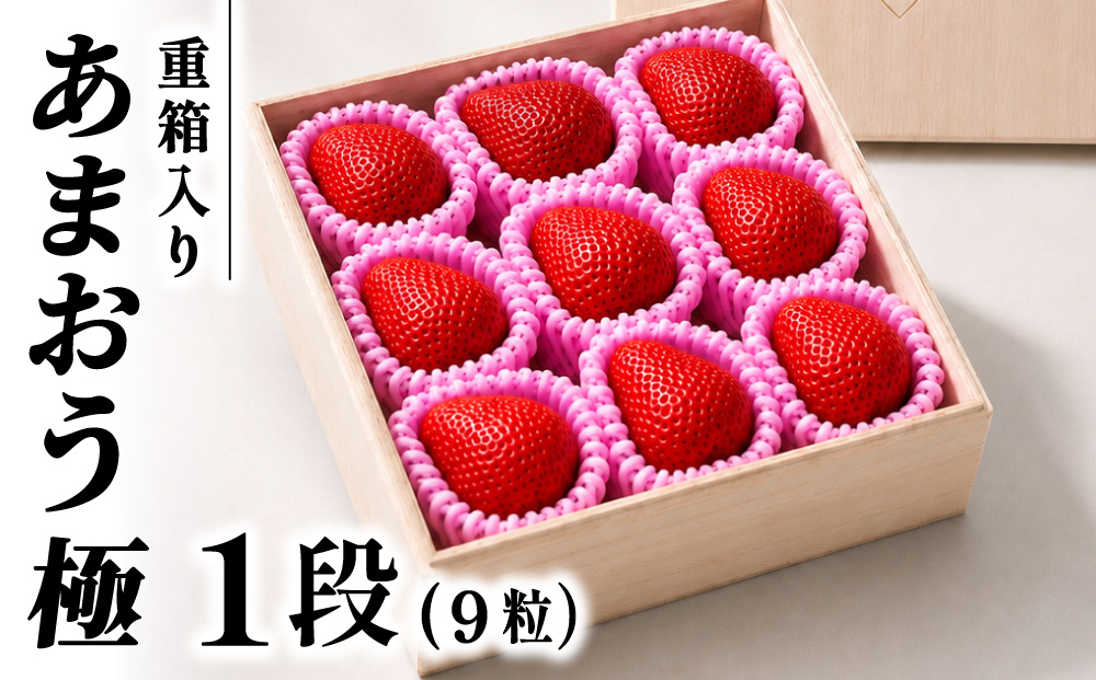 あまおう『極』重箱1段 9粒(約300g) あまおう『極』重箱1段 9粒(約300g)