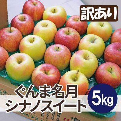 【26年1月より順次発送】糖度13度以上保証! ぐんま名月×シナノスイート 約5kg 訳あり【配送不可地域：沖縄県】【1613322】