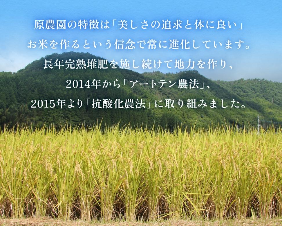 【令和8年産米先行受付】原さんちのお米 白米 ４kg ひとめ