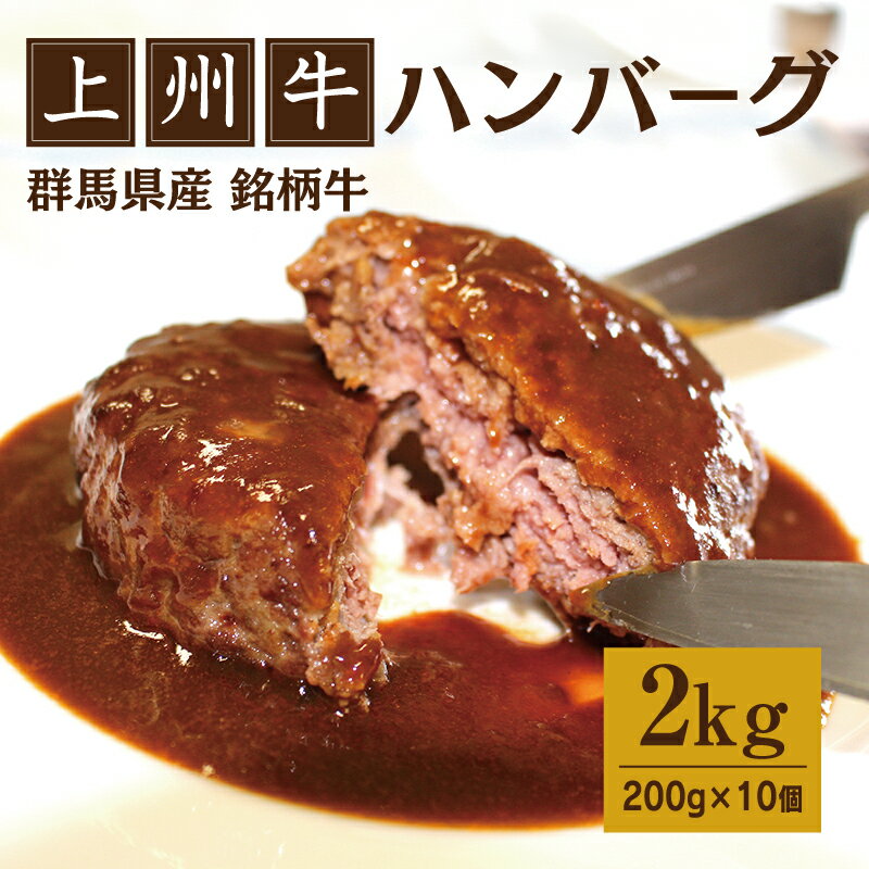【ふるさと納税】【173】上州牛入りハンバーグ2kg（200g×10個）