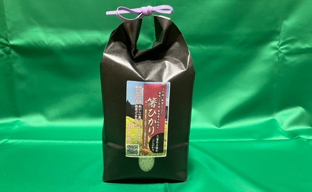コシヒカリ 箸ひかり 伊賀産 令和8年産 5kg コシヒカリ